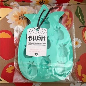 Blush Teal Pineapple Ice Mold